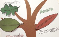 Imparare il nome delle foglie degli alberi: PDF