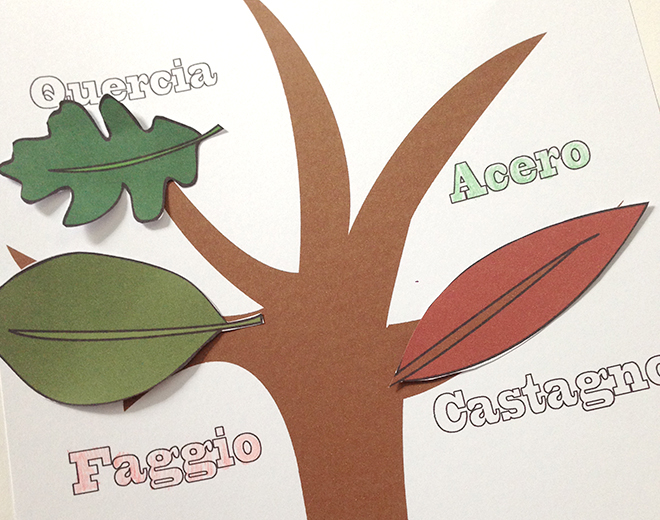 Imparare il nome delle foglie degli alberi: PDF 