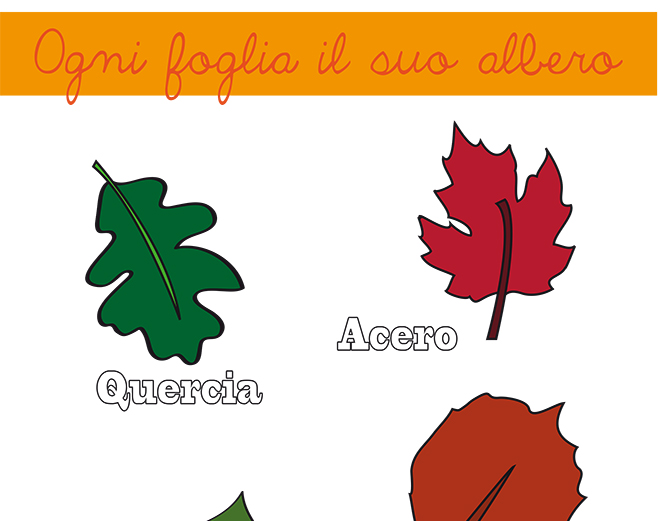 Imparare il nome delle foglie degli alberi: PDF 