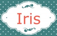 Iris