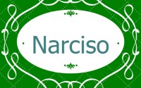 Narciso