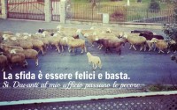 essere-felici-e-basta