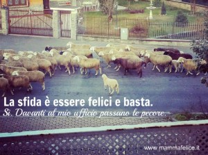 essere-felici-e-basta