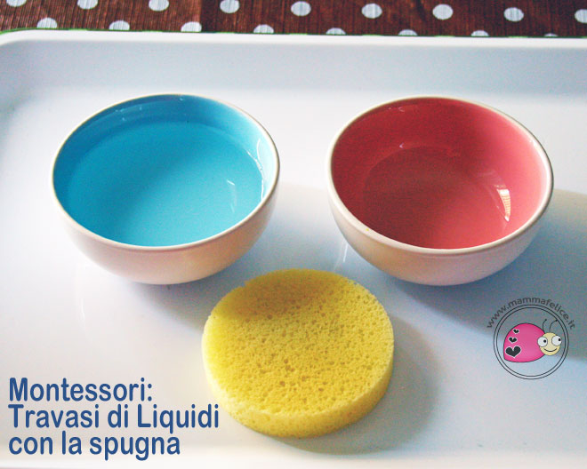 montessori-attivita-vita-pratica-motricita-fine-travasi-di-liquidi-con-spugna