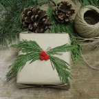 pacco-regalo-con-pungitopo