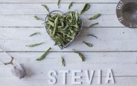 stevia-cosa-come-ricette