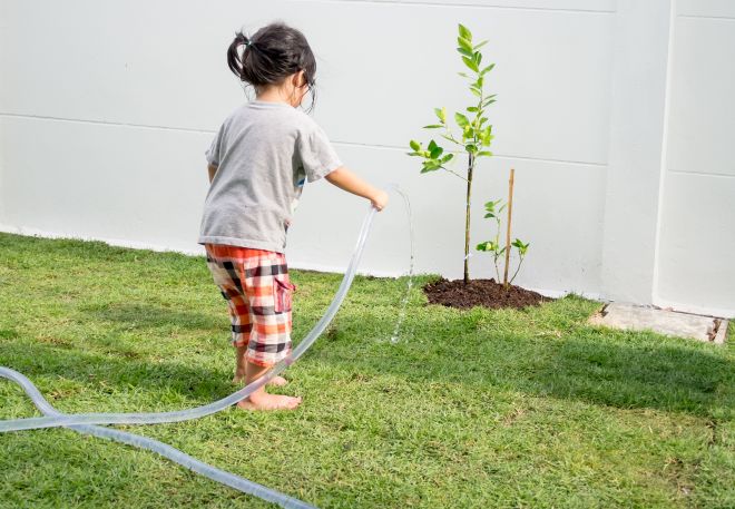 giochi-montessori-all-aperto-con-elementi-naturali-terra-orto