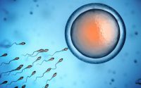 fertility-day-periodo-fertile-welfare-conciliazione-lavoro-famiglia