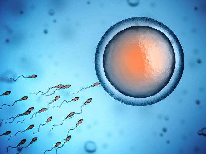 fertility-day-periodo-fertile-welfare-conciliazione-lavoro-famiglia