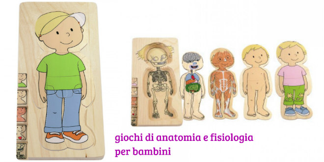 giochi-anatomia-fisiologia-corpo-umano-bambini-montessori