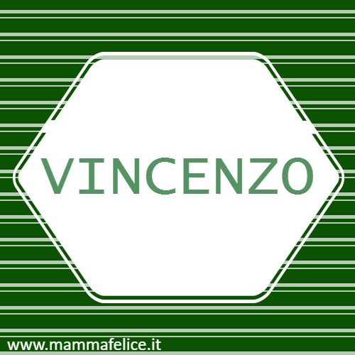 Vincenzo