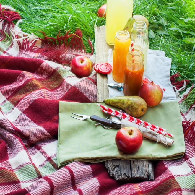 come-organizzare-pic-nic