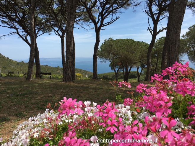 isola-elba-vacanze-bassa-stagione-bambini