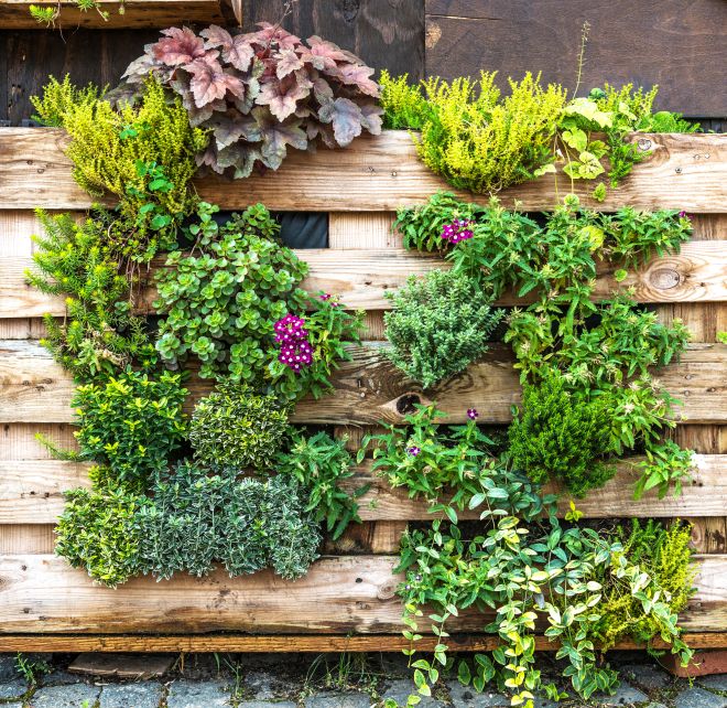 Giardini verticali fai da te per esterni: tante idee di riciclo creativo