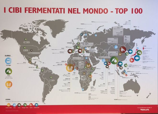 cibi-fermentati-nel-mondo