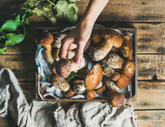  menu-funghi-porcini