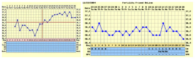 Come si misura la temperatura basale? Calcolare l'ovulazione.