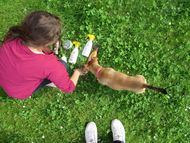 attivita-giochi-all-aperto-per-bambini-giardino-estate