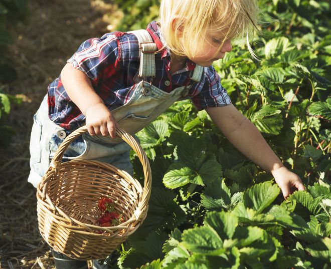 come-far-mangiare-verdure-ai-bambini