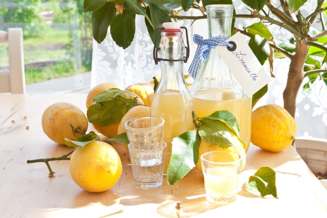 come-fare-limoncello-in-casa