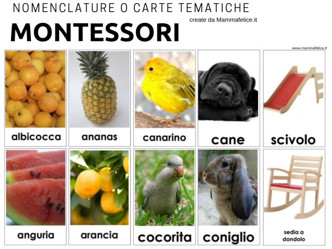 materiale-montessori-sviluppo-linguaggio-nomenclature-carte-tematiche_mammafelice