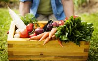 ricette-di-pasta-con-verdure-di-stagione