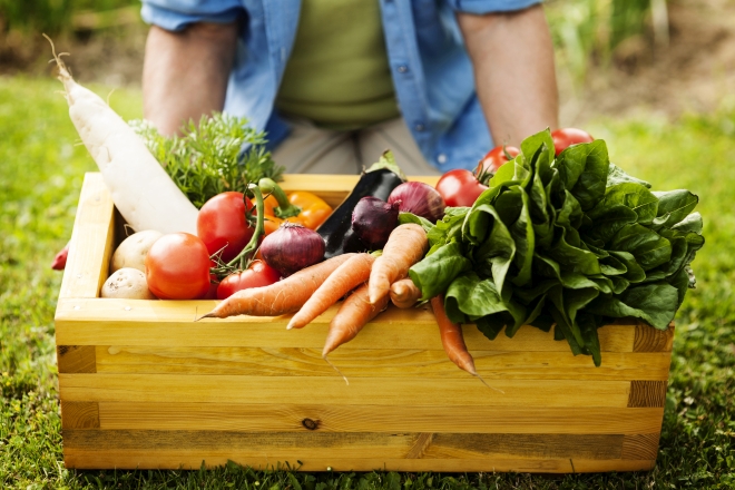 ricette-di-pasta-con-verdure-di-stagione