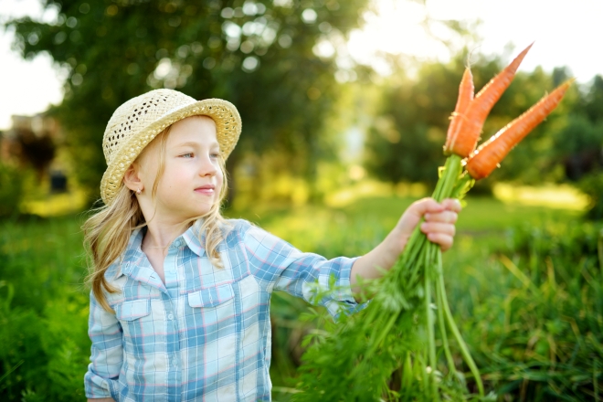 ricette-facili-di-verdure-per-bambini