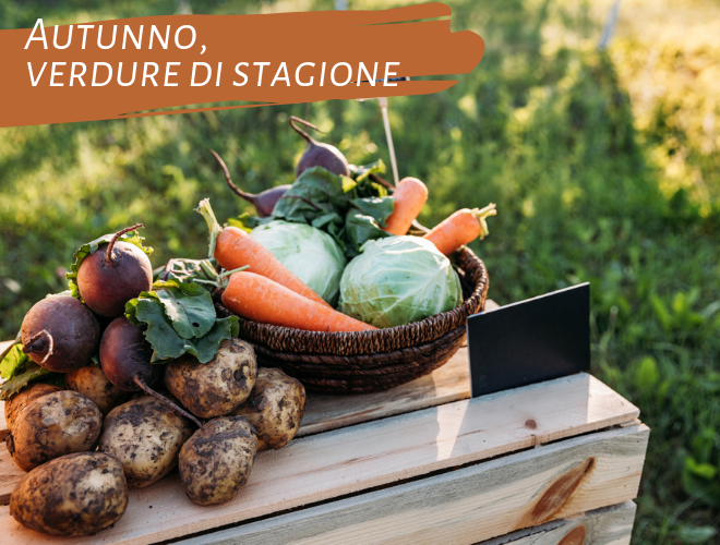 ricette-primi-piatti-con-verdure-di-stagione_autunno