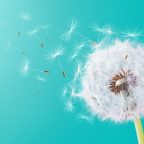 amare-la-vita-gioia-felicita-filosofia-cambiamento