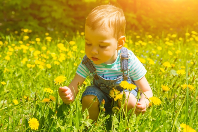 Attività Intelligenti Per Bambini Di 1 Anno Mamma Felice