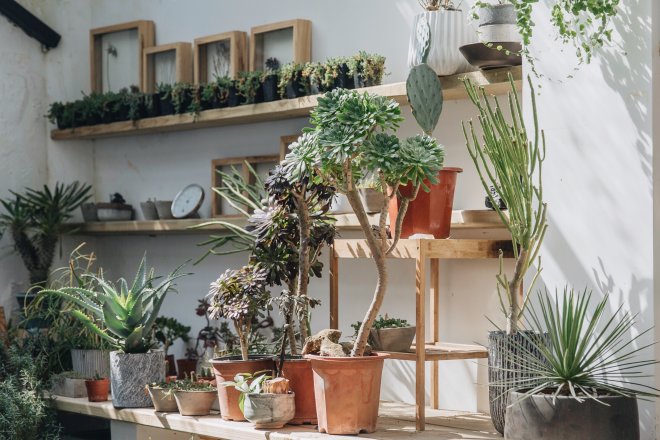 come-arredare-un-piccolo-balcone-terrazzo-veranda_mammafelice