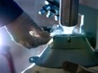Crioconservazione del seme: come funziona?