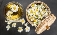 rimedi naturali per la nausea in gravidanza