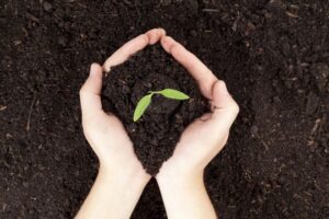 interferenti endocrini e fertilità